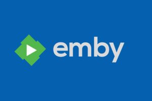 Li番 Emby电影库刮削计划 1991-2023